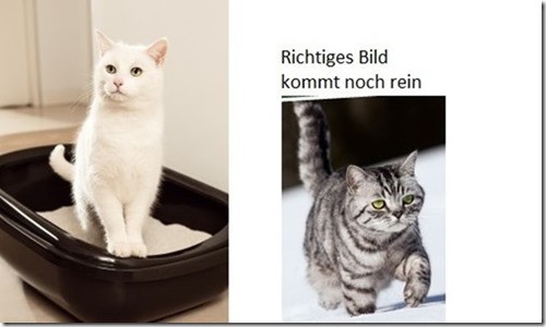 Ses anhänger e5 - ses,